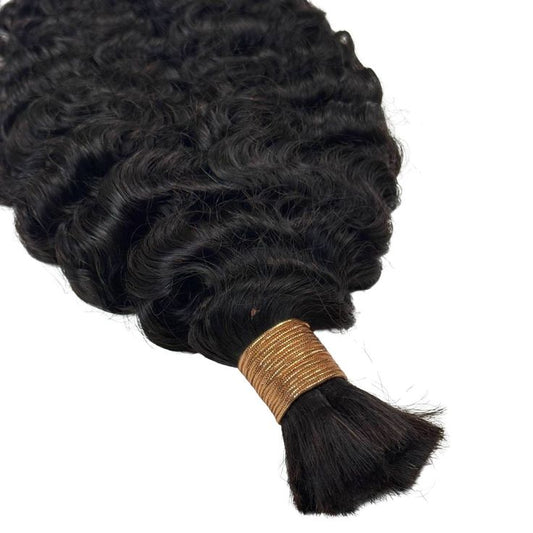 Burmese Bulk Bundle